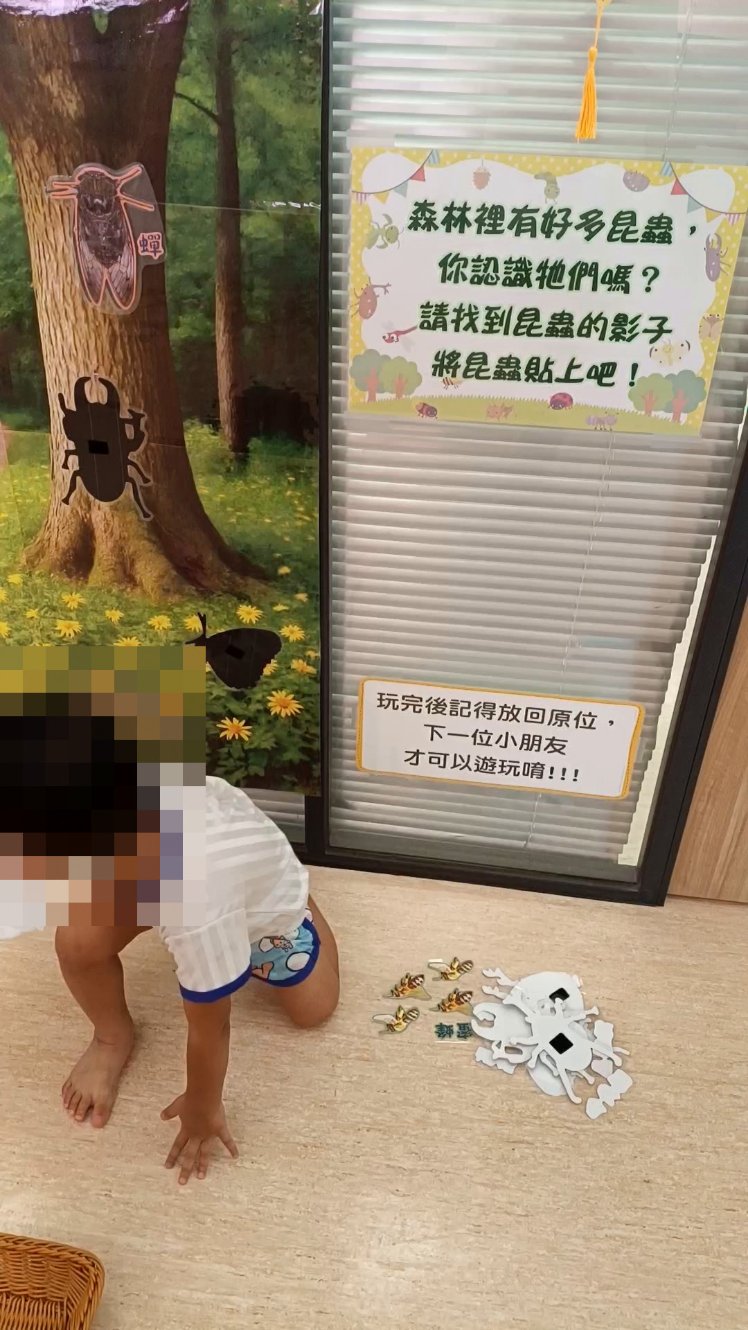 大溪親子館森林昆蟲影子配對遊戲