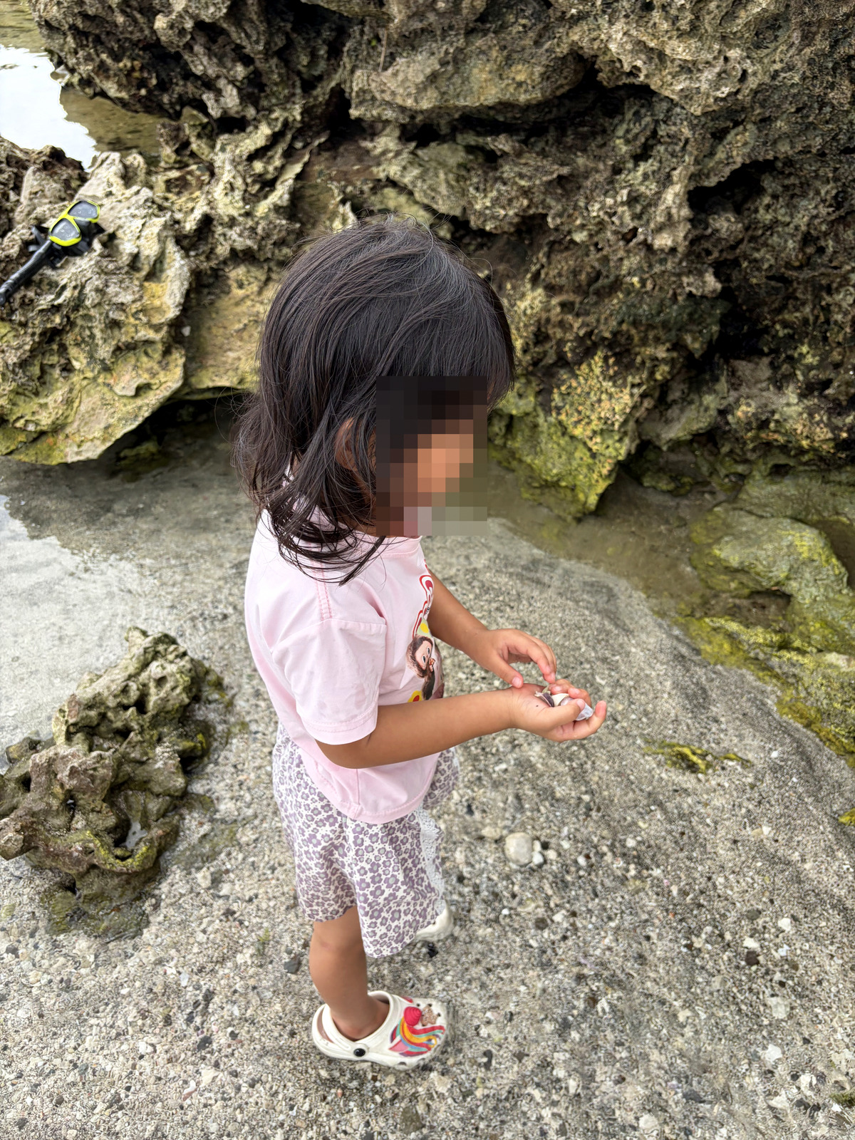 女兒在蘭嶼潮間帶捧著剛找到的小生物