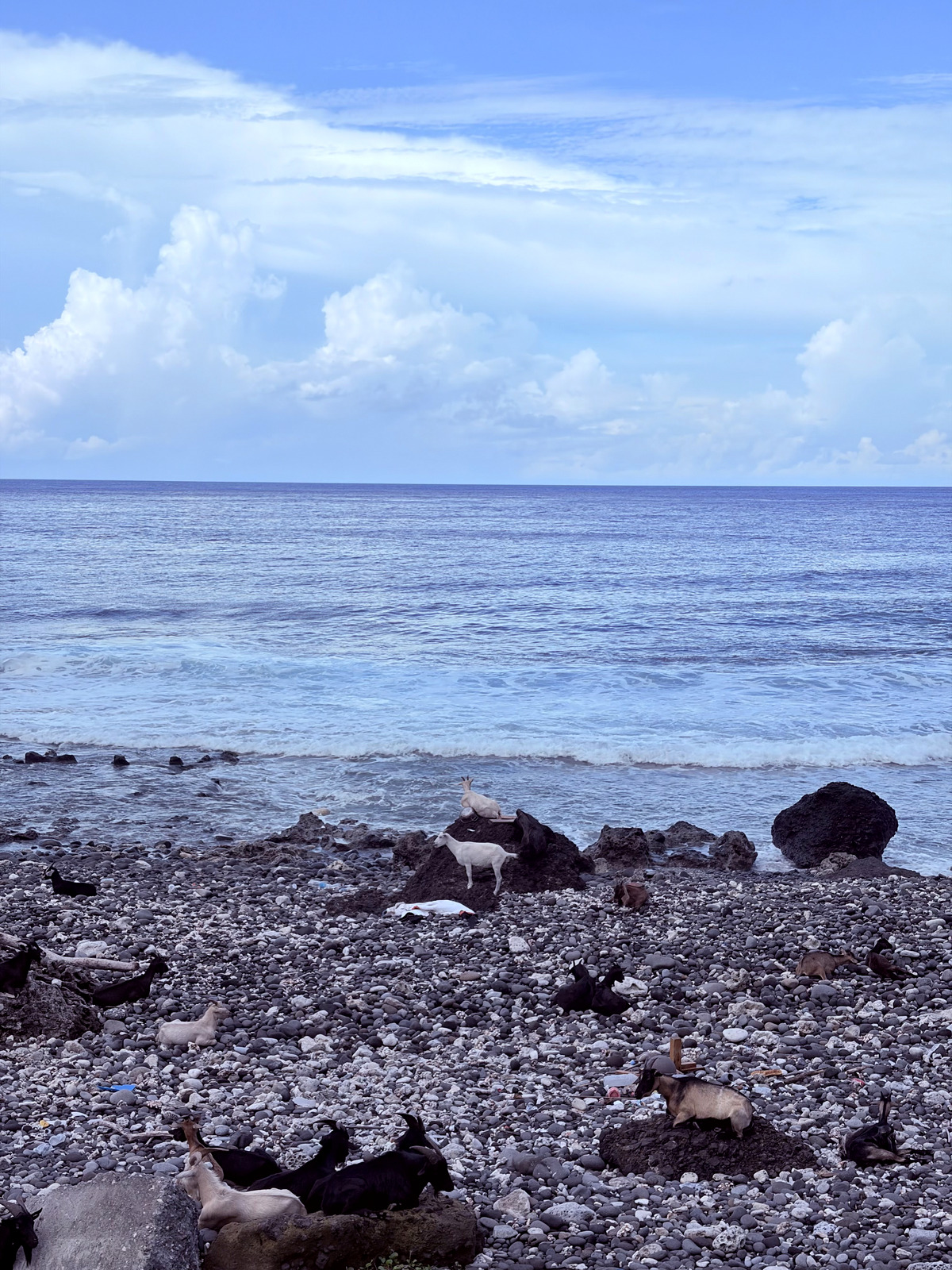 蘭嶼回程前的藍天大海與鵝卵石海岸