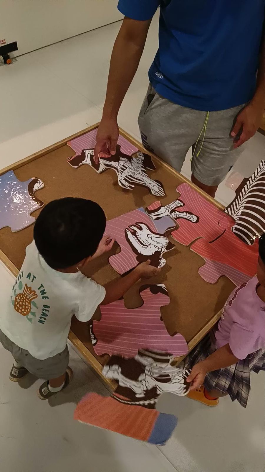 孩子在左鎮化石園區玩化石拼圖
