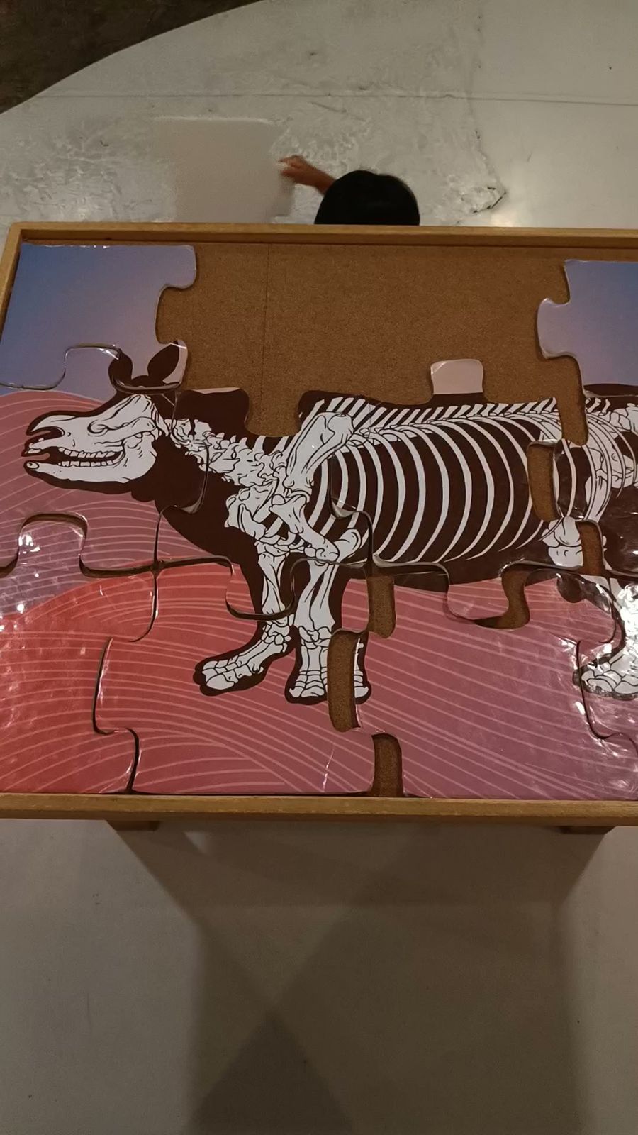 左鎮化石園區的動物骨骼拼圖