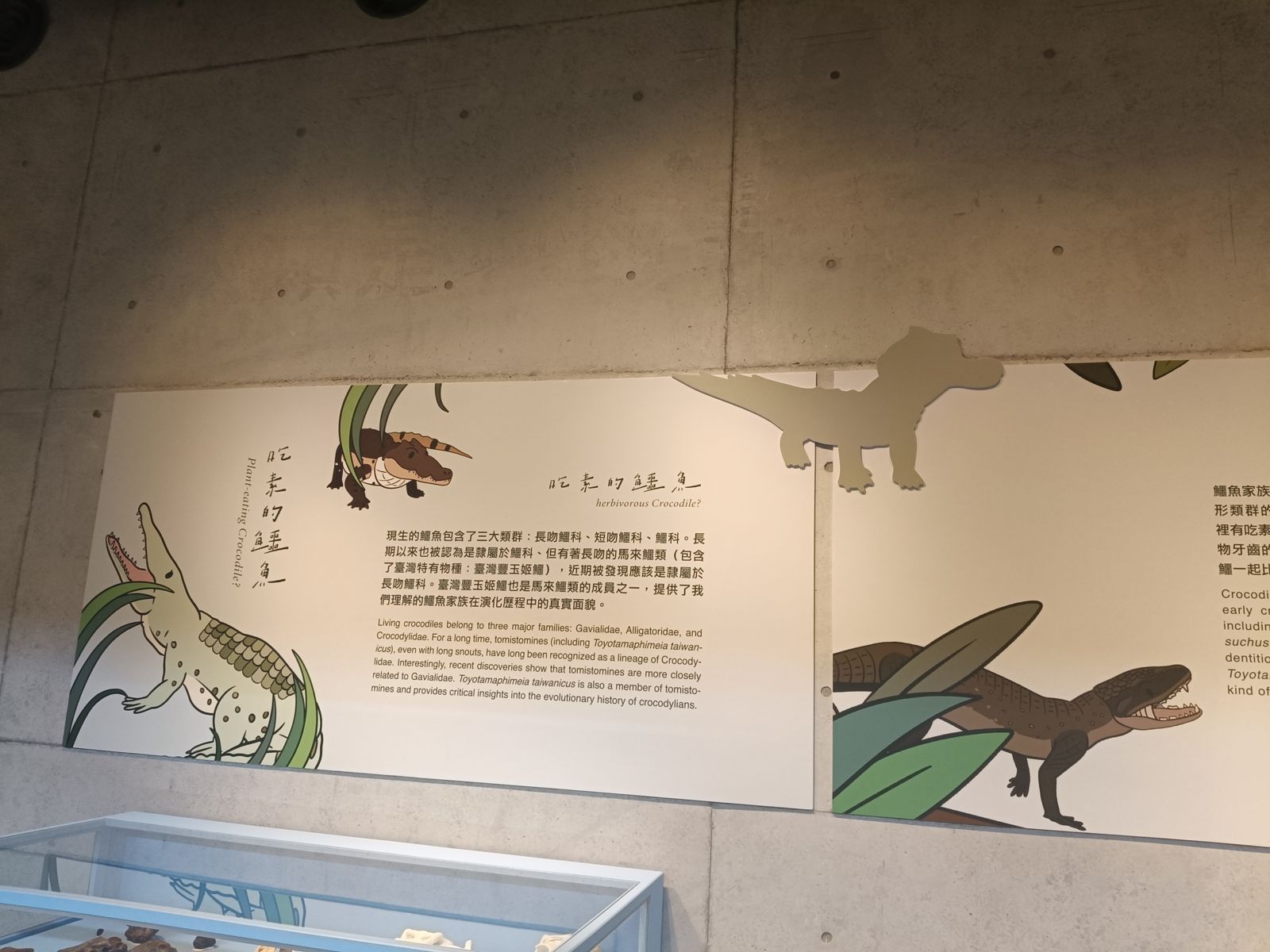 左鎮化石園區「吃素的鱷魚」展示牆