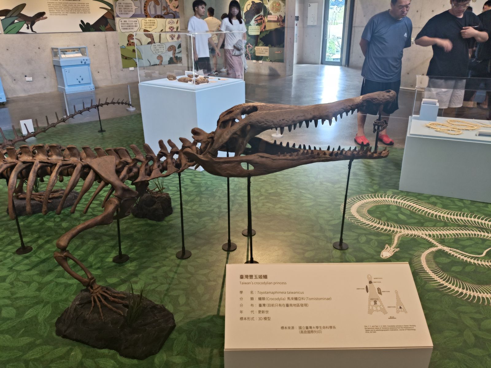 台南親子一日遊｜給小孩親子餐廳、左鎮化石館、宅夏都住宿