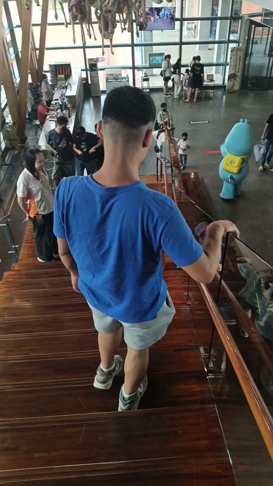 孩子背對鏡頭走在左鎮化石園區的木階梯